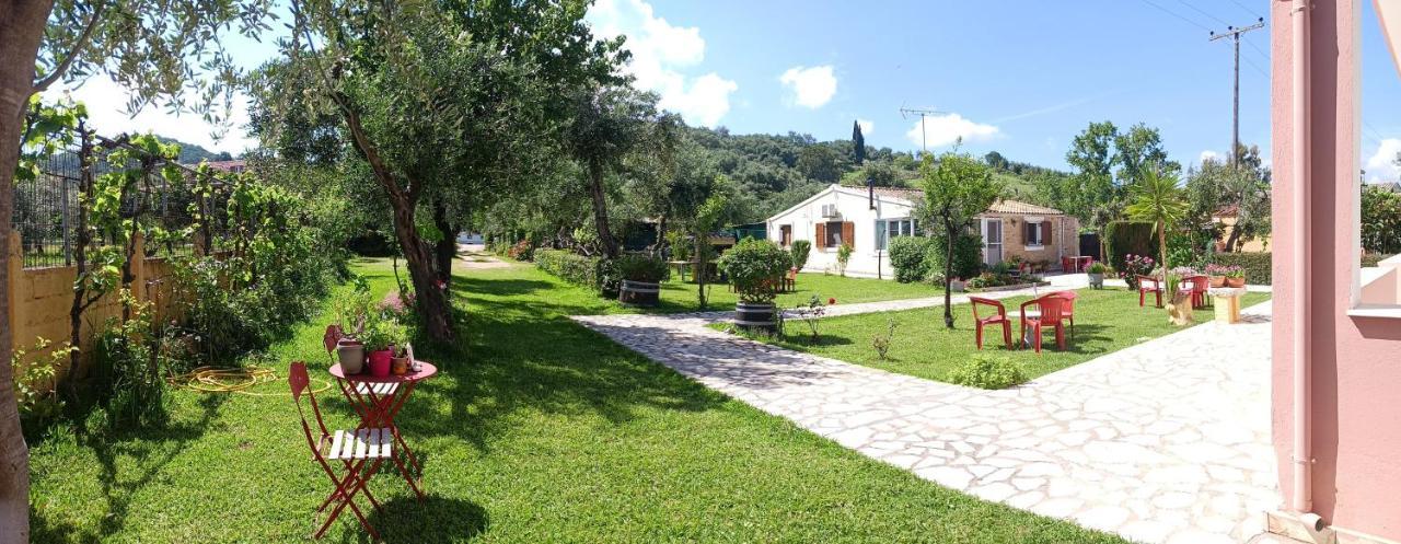 Olga's Garden *